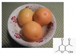L’acide déhydroacétique, un conservateur qui rend belles les oranges et pas que…