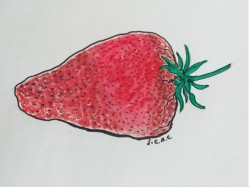 La fraise, elle la ramène un peu trop en matière de protection solaire !