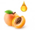 L’huile de noyaux d’abricot, une huile qui promet beaucoup… mais…