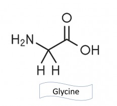 La glycine, un acide aminé qui ne manque pas de ressort ! 