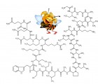 Le venin d’abeille, l’ingrédient cosmétique qui a piqué notre curiosité ! 