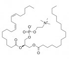 La lécithine, le tensioactif naturel qui envoie les tensioactifs de synthèse se faire cuire un œuf ! 