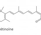 Dans le traitement de l’acné, l’isotrétinoïne fait consensus